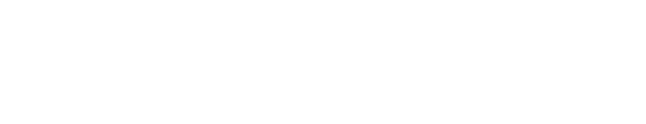 Wildcard Networks